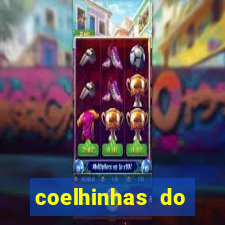 coelhinhas do brasil acompanhantes